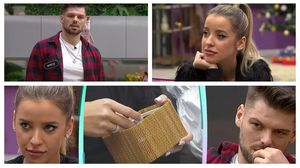 Nicoleta Casa Iubirii test de sarcină