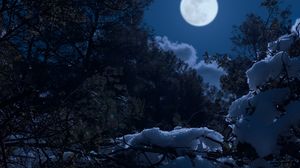 Fazele Lunii Ianuarie 2023