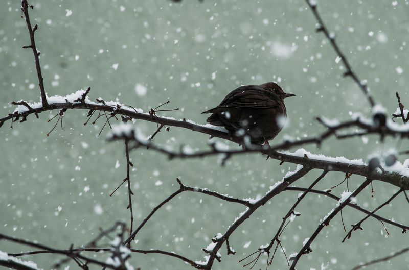 Prognoza meteo ANM, 16-18 decembrie 2022. Vremea în weekend. Meteorologii anunță scăderi drastice ale temperaturilor Prognoza meteo ANM, 16-18 decembrie 2022. Vremea în weekend. Meteorologii anunță scăderi drastice ale temperaturilor