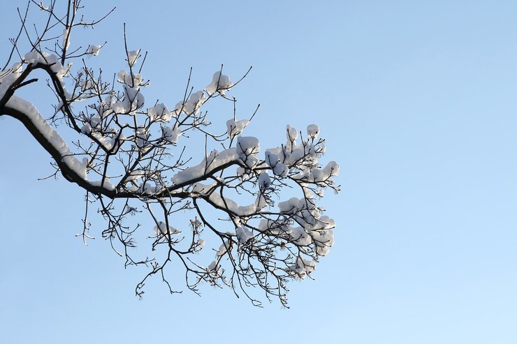 Prognoza meteo ANM, 19-21 decembrie 2022. Vremea se răcește drastic 