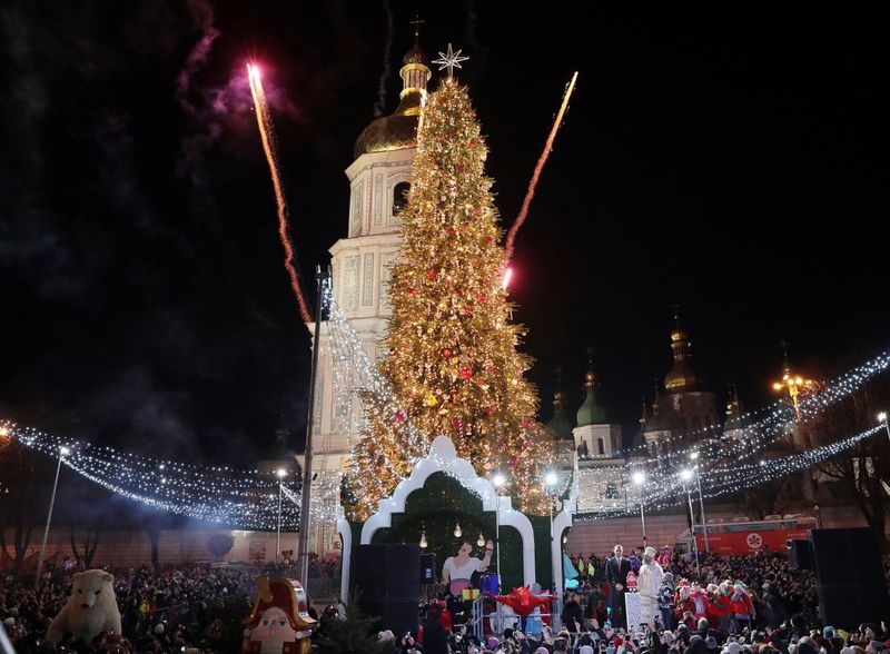bradul de craciun din ucraina
