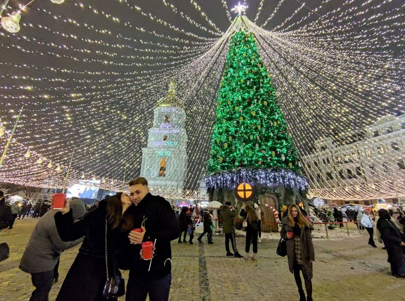 bradul de craciun din ucraina