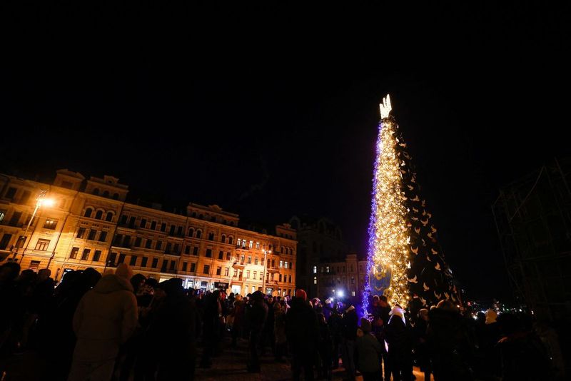 bradul de craciun din ucraina