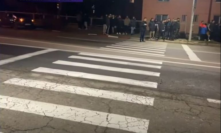 irina deaconescu apel umanitar, tragedie petrosani, copii calcati pe trecere