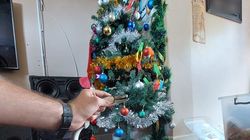 Au împodobit bradul și îl așteptau pe Moș Crăciun, însă ce au găsit sub brad i-a îngrozit până în măduva oaselor. O familie s-a trezit cu un „musafir” veninos în casă, chiar înainte de sărbători