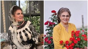 irina loghin, artistă, bunică, nepoată, sfaturi