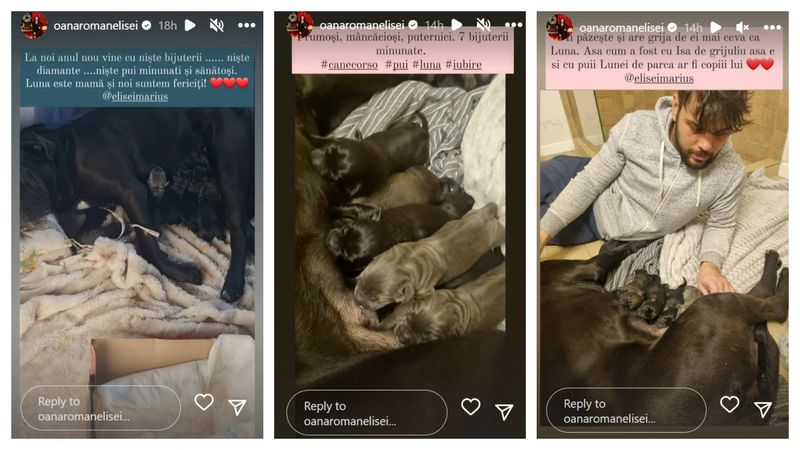  Oana Roman și-a mărit familia