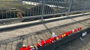 Altar la locul crimei. Maria, tânăra ucisă la colindat