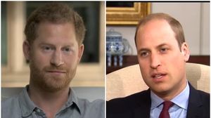 prințul harry, prințul william, megan markle, bătaie, familia regală, carte