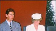 prințul harry, prințul william, prințesa diana, regele charles, familia regală