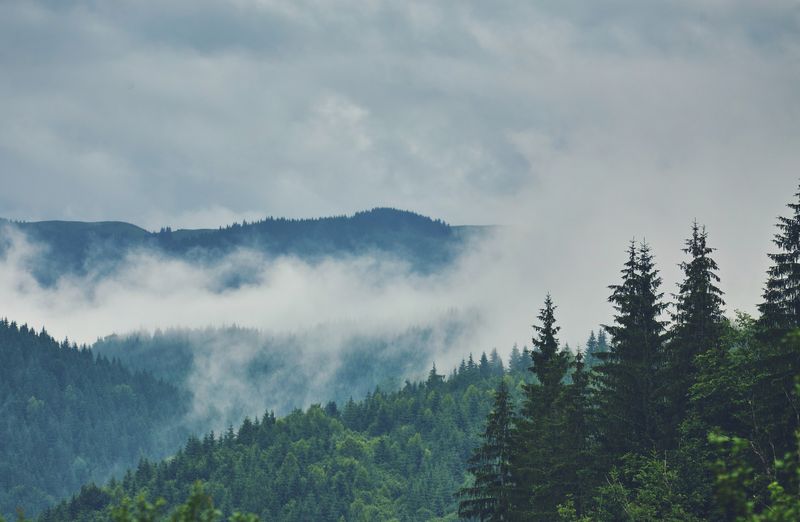 Prognoza meteo ANM, 10-24 ianuarie 2023. Vremea în următoarele două săptămâni Prognoza meteo ANM, 10-24 ianuarie 2023. Vremea în următoarele două săptămâni