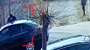 suceava, bataie, parinti agresivi, scene halucinante, barbati batuti