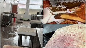 carne stricata, targu jiu, inspectori anpc, mucegai, rugina, mizerie