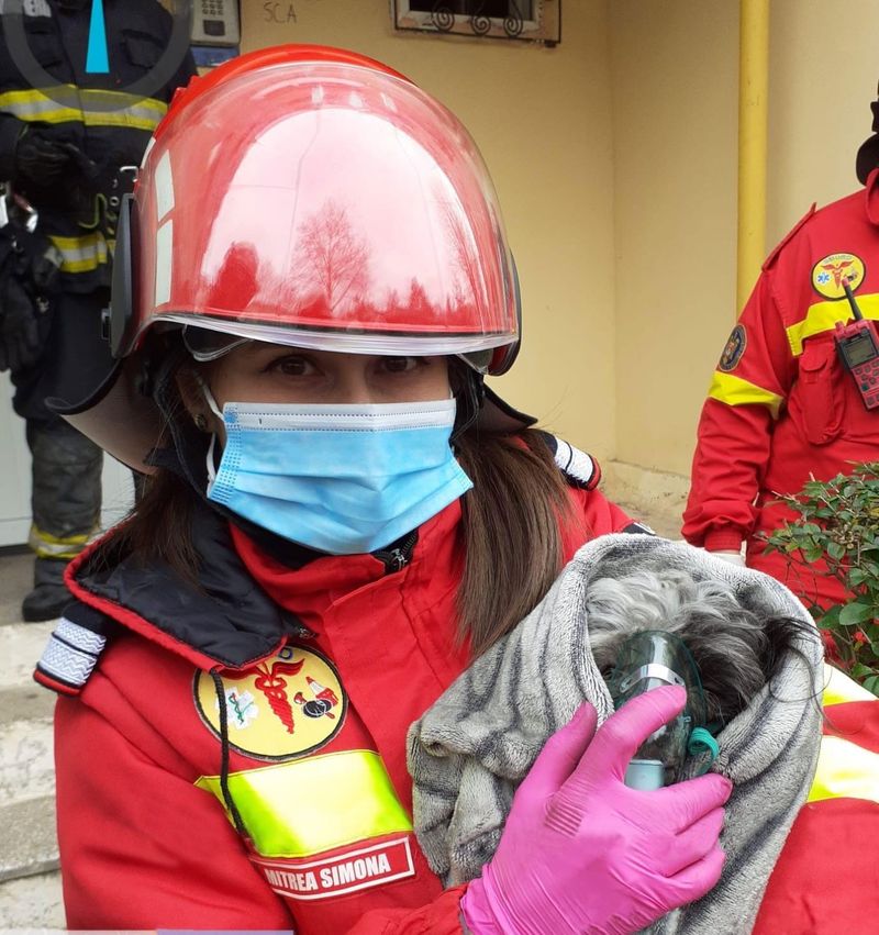 catel salvat, rio, constanta, igsu, incendiu, catel intoxicat cu fum
