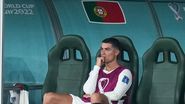 Cristiano Ronaldo, Ion Tiriac, avere ronaldo, avere tiriac
