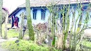 Caz bătrână abandonată Bunești Vaslui