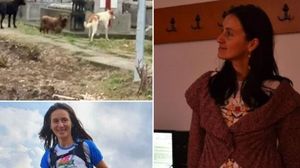 Haită de câini, în fața capelei unde este depus trupul neînsuflețit al Anei Oroș