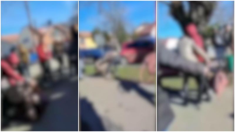 bataie la scoala, teleorman, agresiune, eleve, violenta