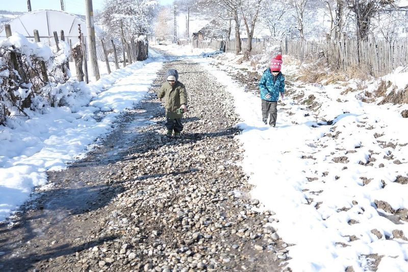 adela popescu copii, adela popescu decizie, adela popescu familie