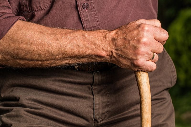 Pensionar pensionar