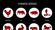 Zodiac Chinezesc 2023. Previziuni astrale pentru Zodia Dragon. Sănătate, Bani, Carieră, Dragoste