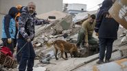 Operațiuni de salvare după cutremurul din Turcia