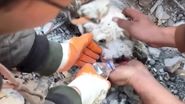 Cățel salvat de sub dărâmături Turcia
