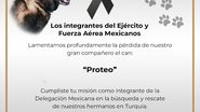 Câine salvator mort Turcia Proteo