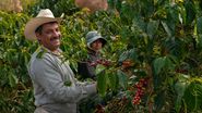 Top 50 de lucruri pe care nu le știai despre Guatemala. Puțini știu că acolo a fost inventat primul baton de ciocolată