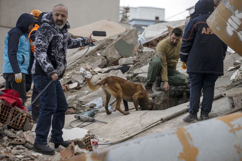 Pagubele cutremurului din Turcia
