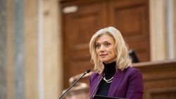 Cine este Alina Gorghiu. Biografie: vârstă, studii, carieră, familie, viață politică
