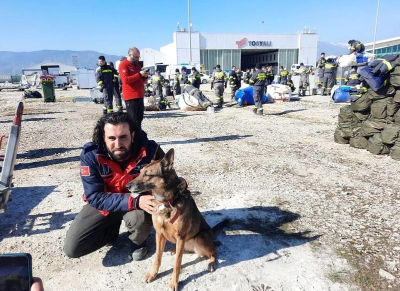 zura, catel salvator, voluntari, cutremur turcia, victime turcia