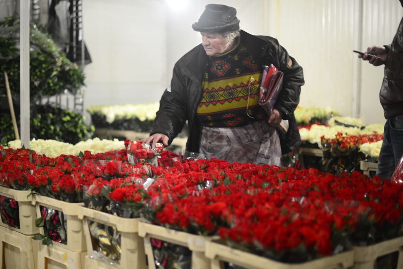 Mesaje de 8 Martie! Cele mai frumoase urări, mesaje și SMS-uri de Ziua Femeii
