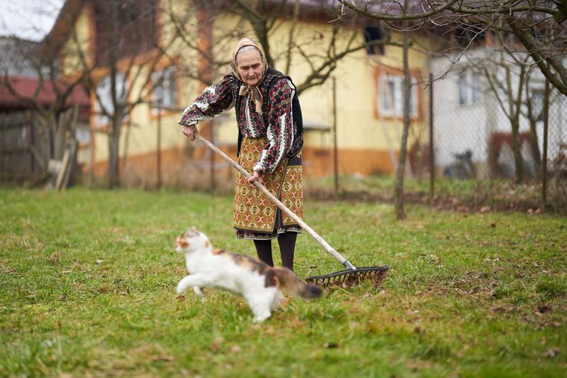 Zilele babelor semnificație. Tradiții și obiceiuri în luna martie