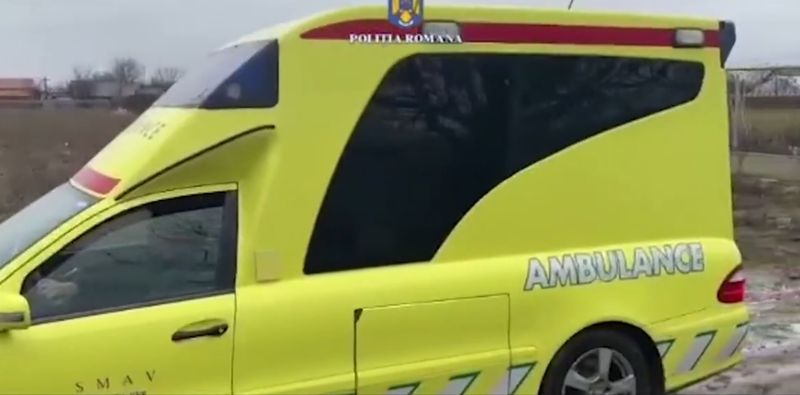 tragedie, galati, haita de caini maidanezi, sfasiata de caini