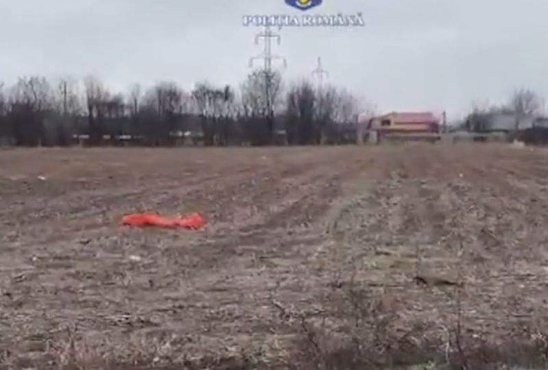 tragedie, galati, haita de caini maidanezi, sfasiata de caini