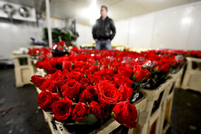 Mesaje de 1 Martie și Mărțișor