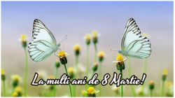 Mesaje de 8 Martie 2023 - Ziua Femeii. Urări, felicitări și SMS-uri pentru doamne și domnișoare:  „Îți doresc multă sănătate și fericire, cu ocazia zilei de 8 Martie! Ești cea mai dulce femeie din lume! Te iubesc mult!”