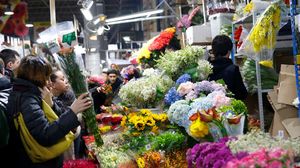 Ce flori oferim pe 8 martie 2023. Cele mai frumoase aranjamente florale pentru Ziua Femeii