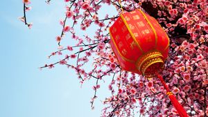 Horoscop chinezesc săptămânal, 13 martie- 19 martie 2023. Previziuni astrale pentru cele 12 zodii  Horoscop chinezesc săptămânal, 13 martie- 19 martie 2023.  Previziuni astrale pentru cele 12 zodii