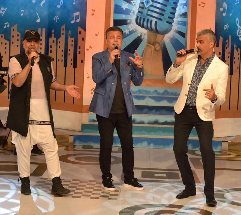 adrian enache, aurelian temișan, formație, despărțire, concerte