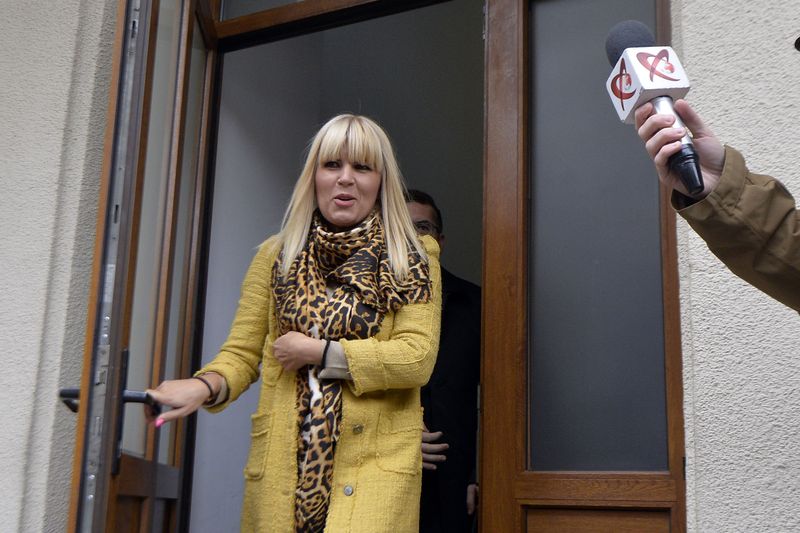 elena udrea