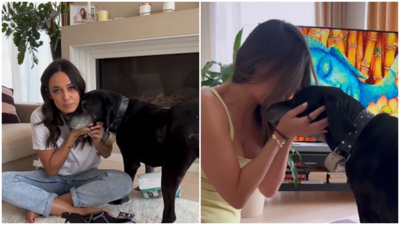 Vedeta îi acordă toată atenția și se asigură că este bine în fiecare moment. Andreea Raicu caine, Andreea Raicu animal comapnie, Andreea Raicu declaratii