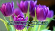 Urări de Florii. Mesaje de La Mulți Ani! Felicitări şi SMS-uri 