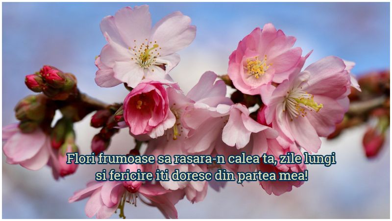 Felicitări de Florii 2023 - Urări de Florii 2023 - Mesaje de Florii 2023