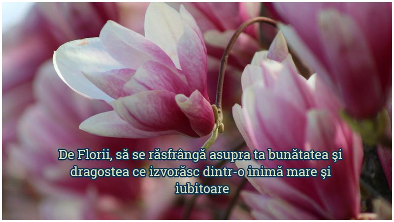Felicitări de Florii 2023 - Urări de Florii 2023 - Mesaje de Florii 2023