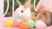 HOROSCOP weekend 15-16 aprilie 2023. Cum vor petrece zodiile de Paște
