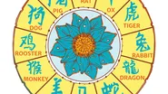 Horoscop chinezesc, Vineri, 21 aprilie 2023. Previziuni astrale pentru cele 12 zodii