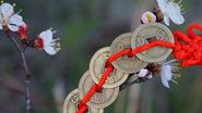 Horoscop Chinezesc, Marți, 2 mai 2023. Află cum va fi ziua pentru cele 12 zodii