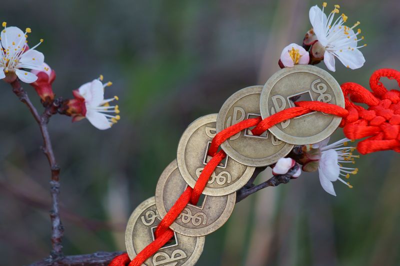 Horoscop Chinezesc, Marți, 2 mai 2023. Află cum va fi ziua pentru cele 12 zodii